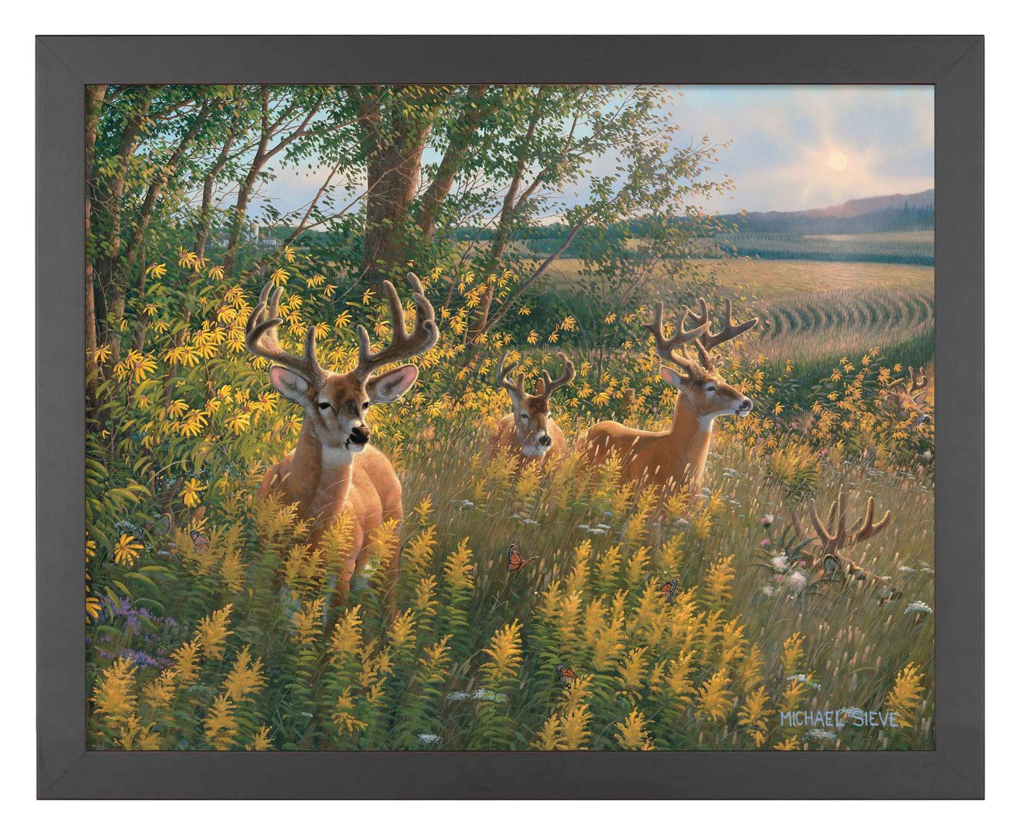 Boys of Summer Whitetail Deer - Art Prints
