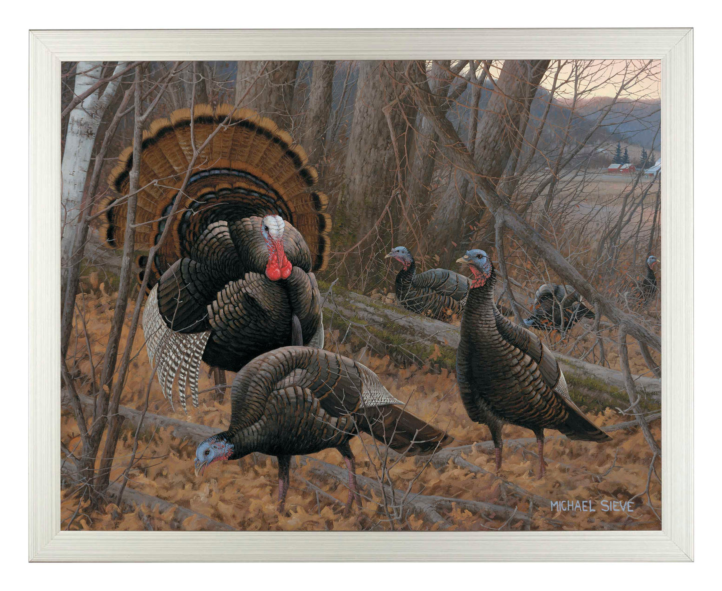 Chisholm Turkey - Art Prints