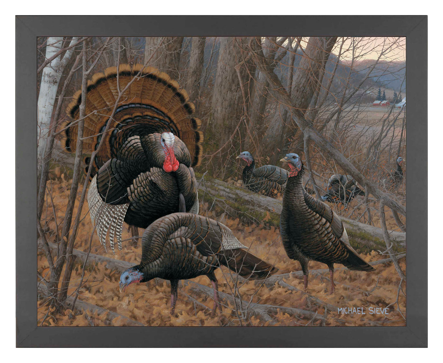 Chisholm Turkey - Art Prints