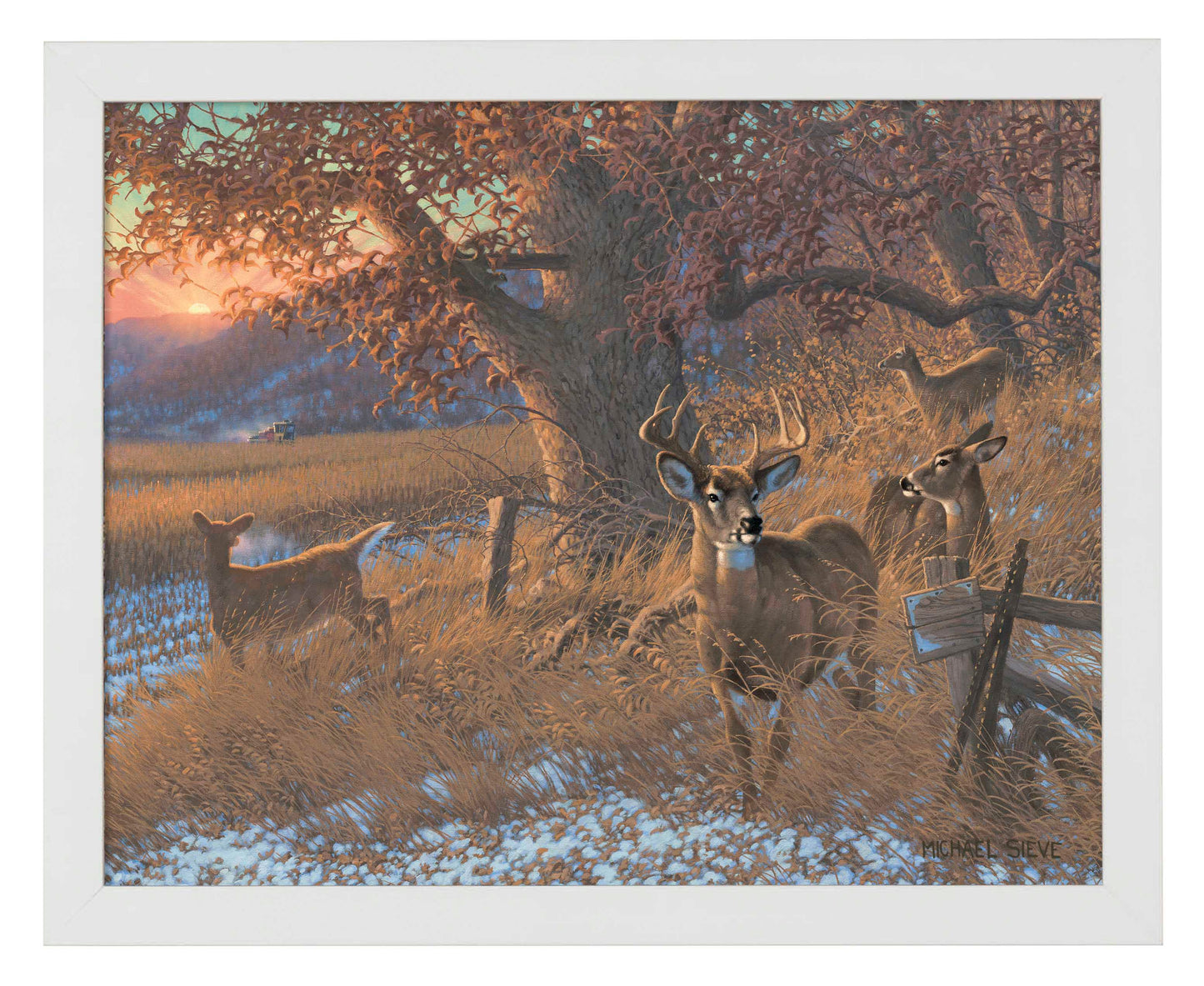 Down From the Ridge - Art Prints