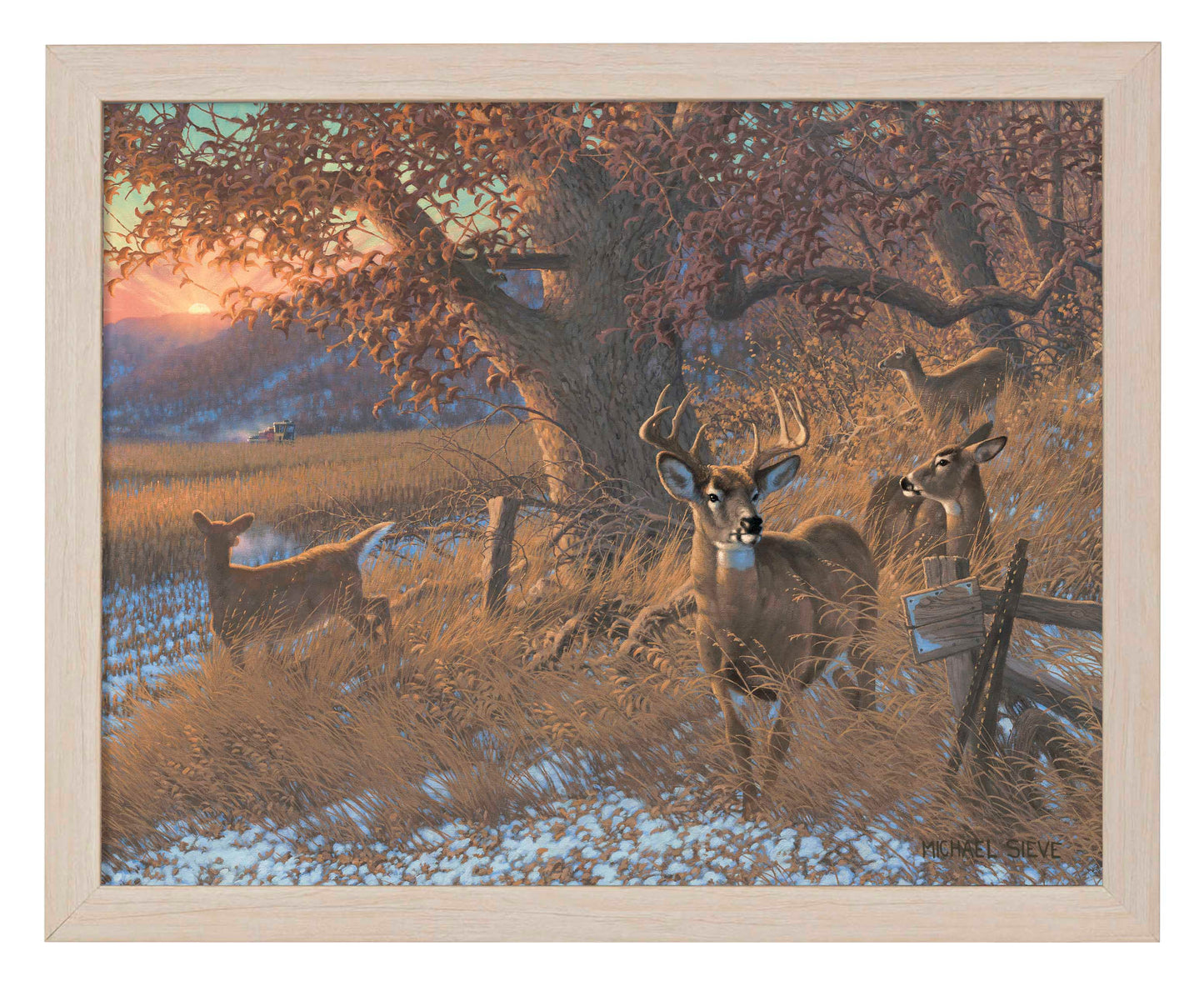 Down From the Ridge - Art Prints