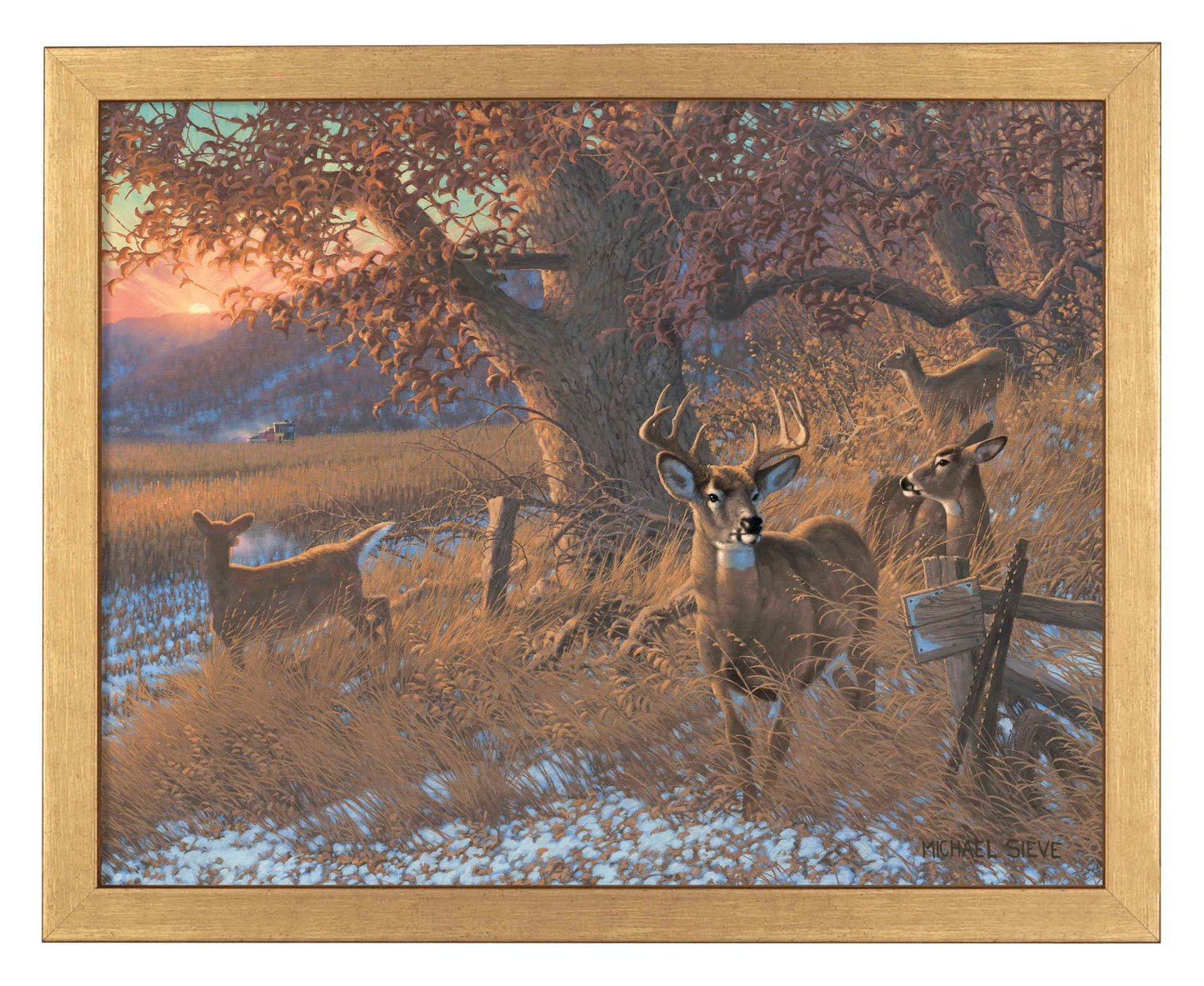 Down From the Ridge - Art Prints