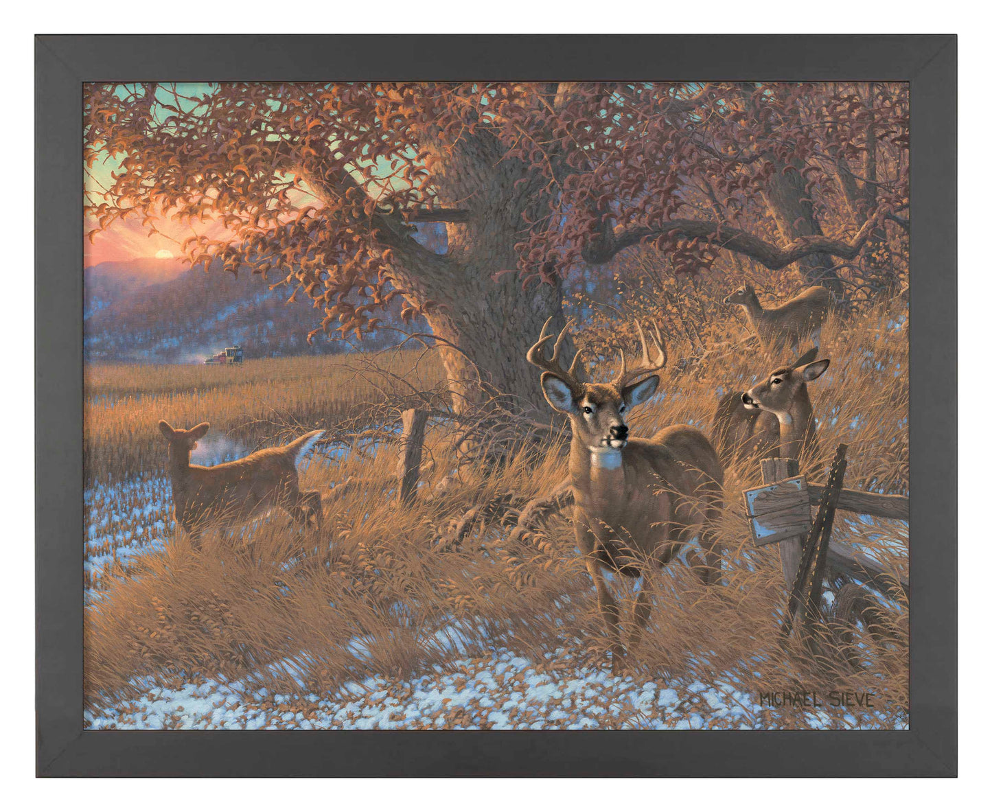 Down From the Ridge - Art Prints