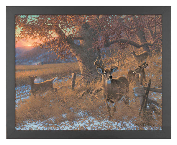 Down From the Ridge - Art Prints