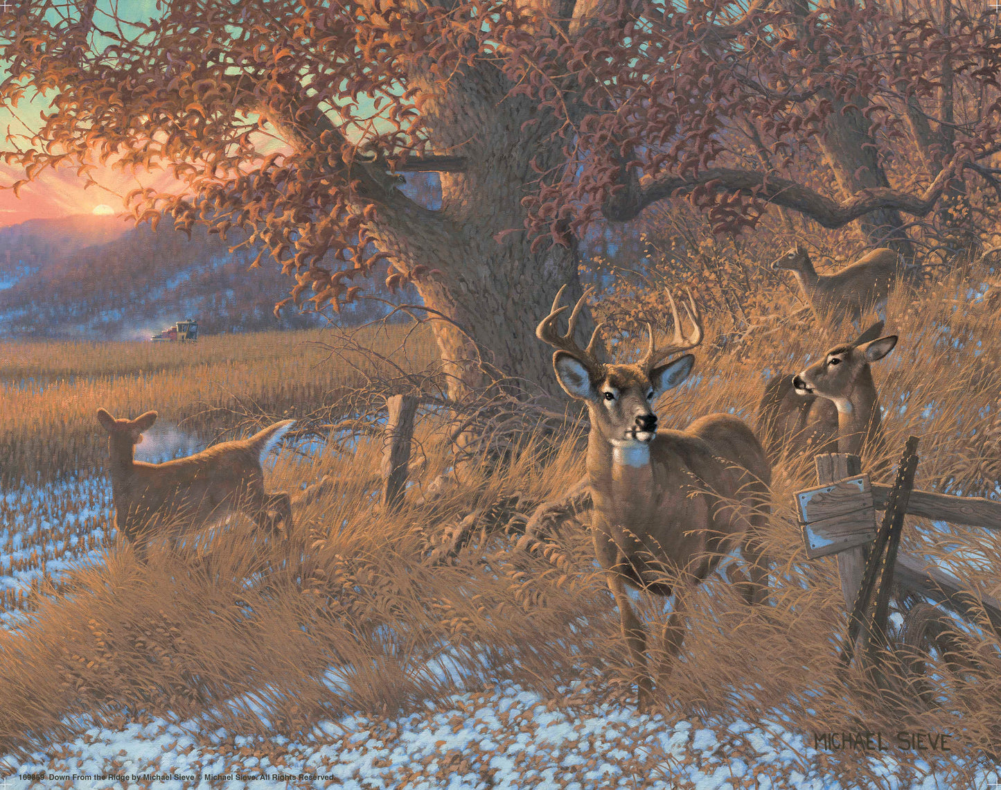 Down From the Ridge - Art Prints