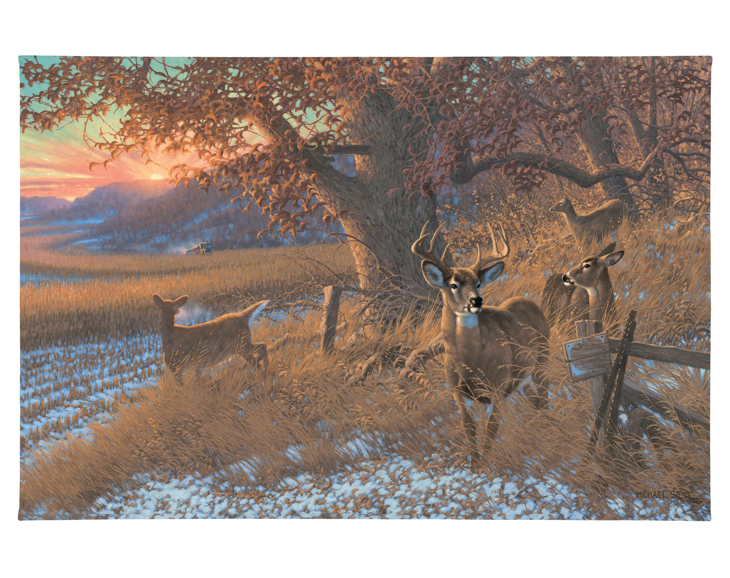 Down From the Ridge - 24" x 36" Gallery Wrapped Canvas