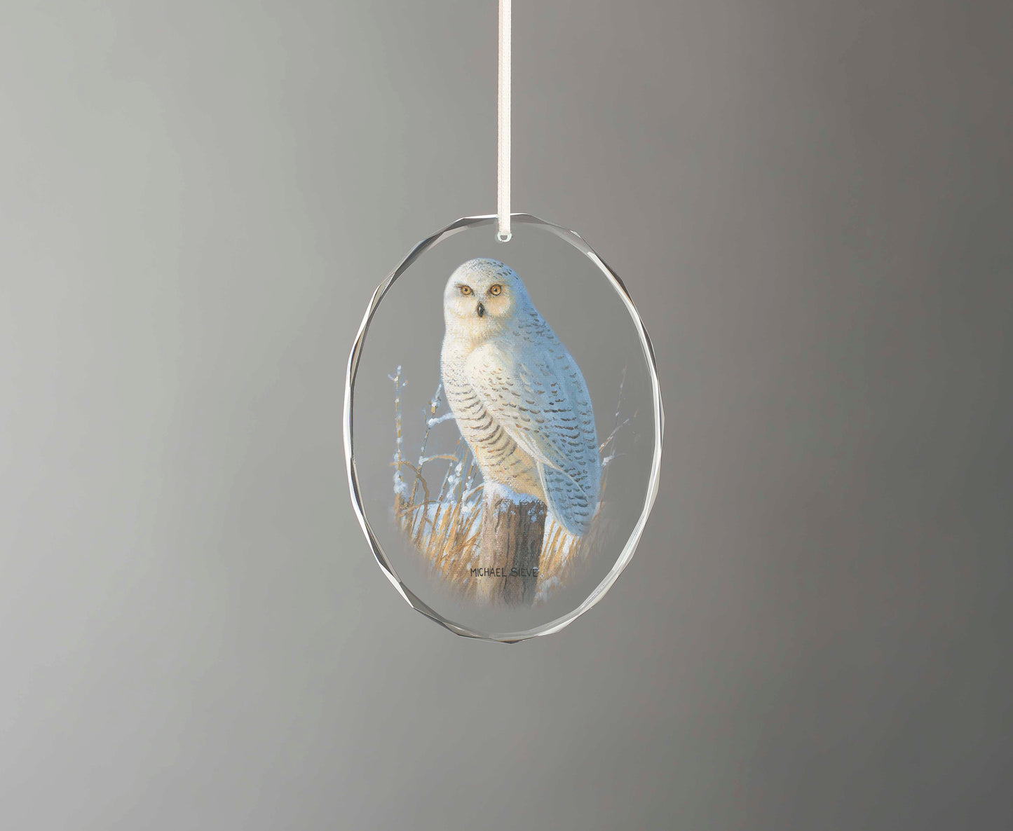 Down South Snowy Owl - Oval Glass Ornament