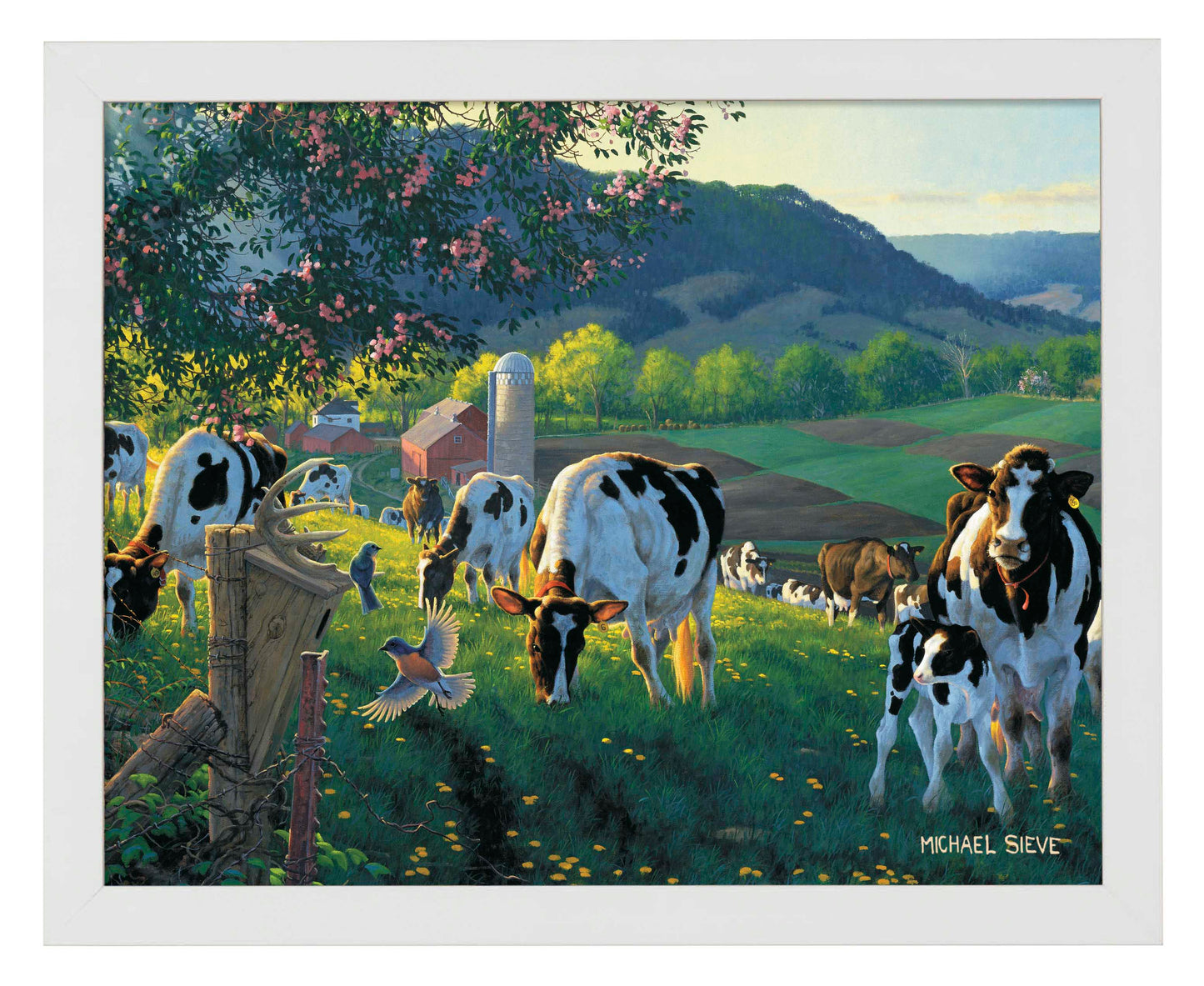 God's Country - Cows - Art Prints