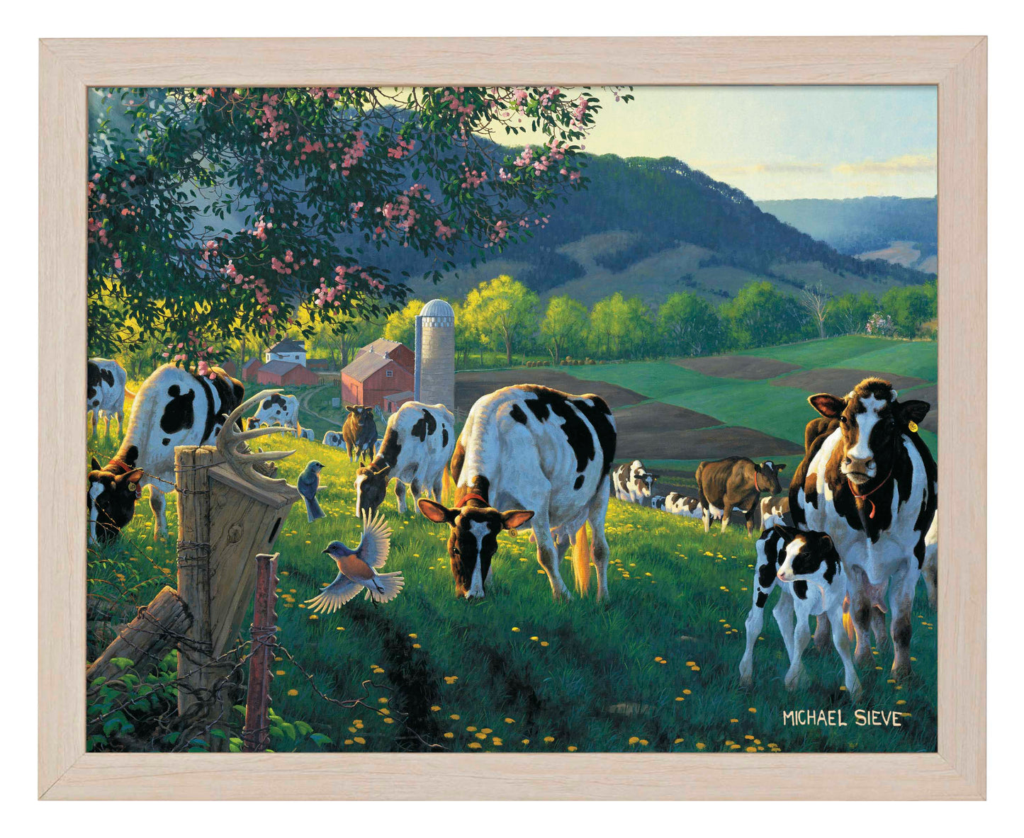 God's Country - Cows - Art Prints