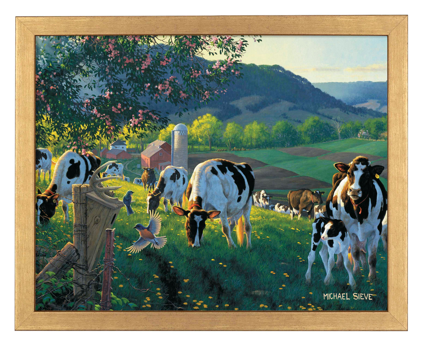 God's Country - Cows - Art Prints
