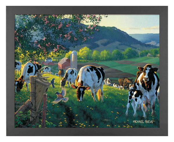 God's Country - Cows - Art Prints