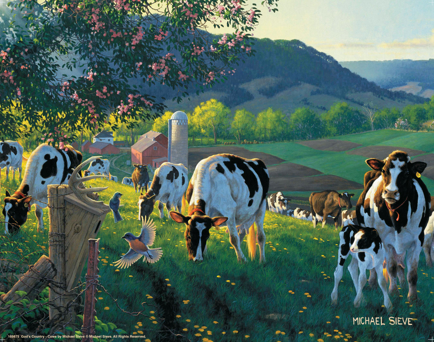 God's Country - Cows - Art Prints