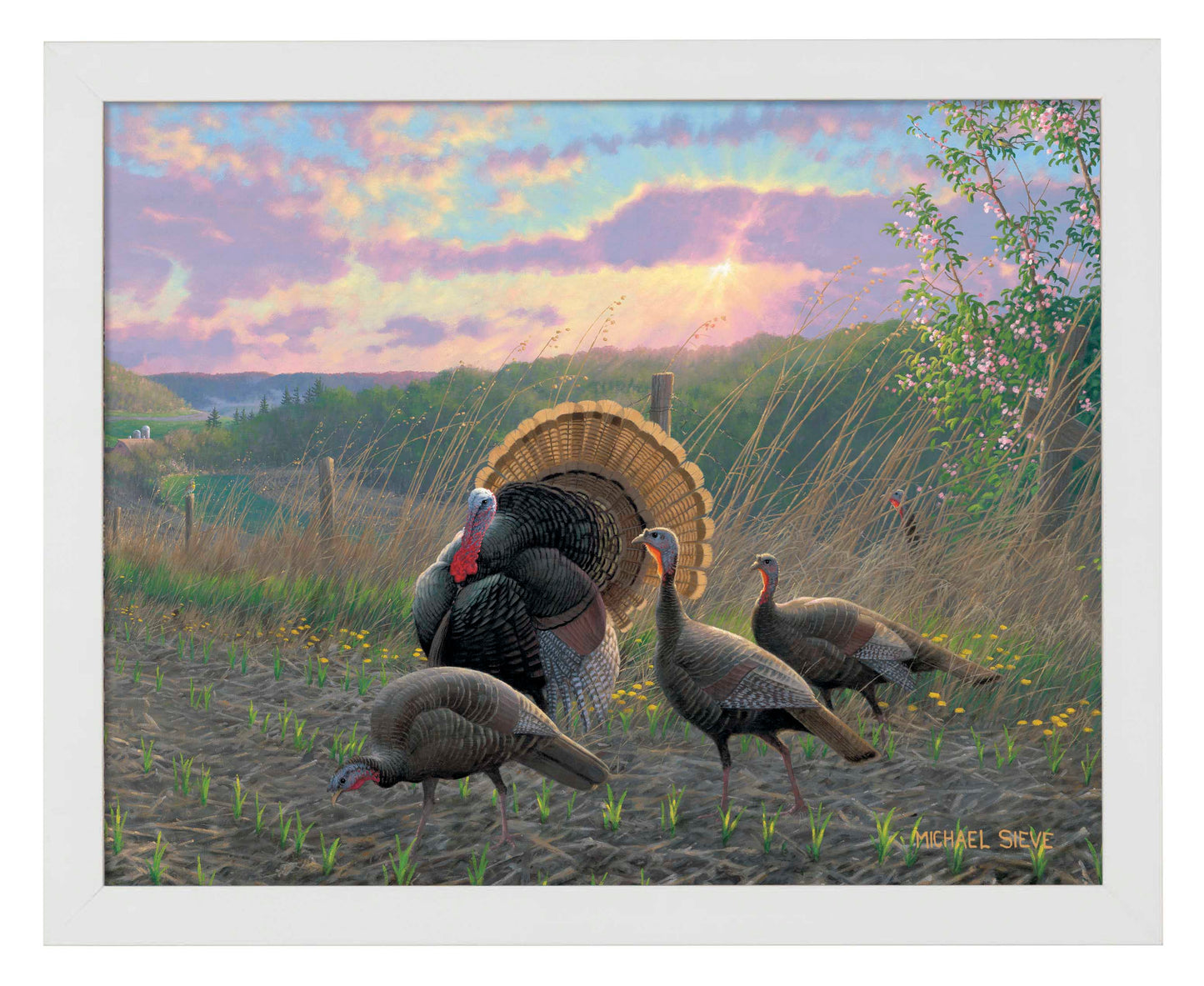 Golden Fan Club Turkeys - Art Prints