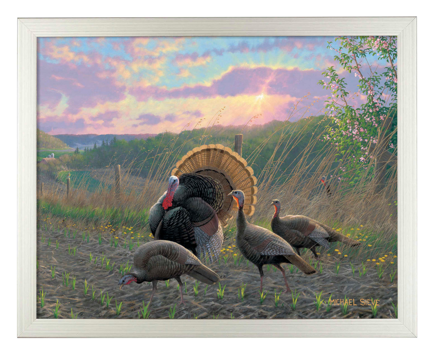 Golden Fan Club Turkeys - Art Prints