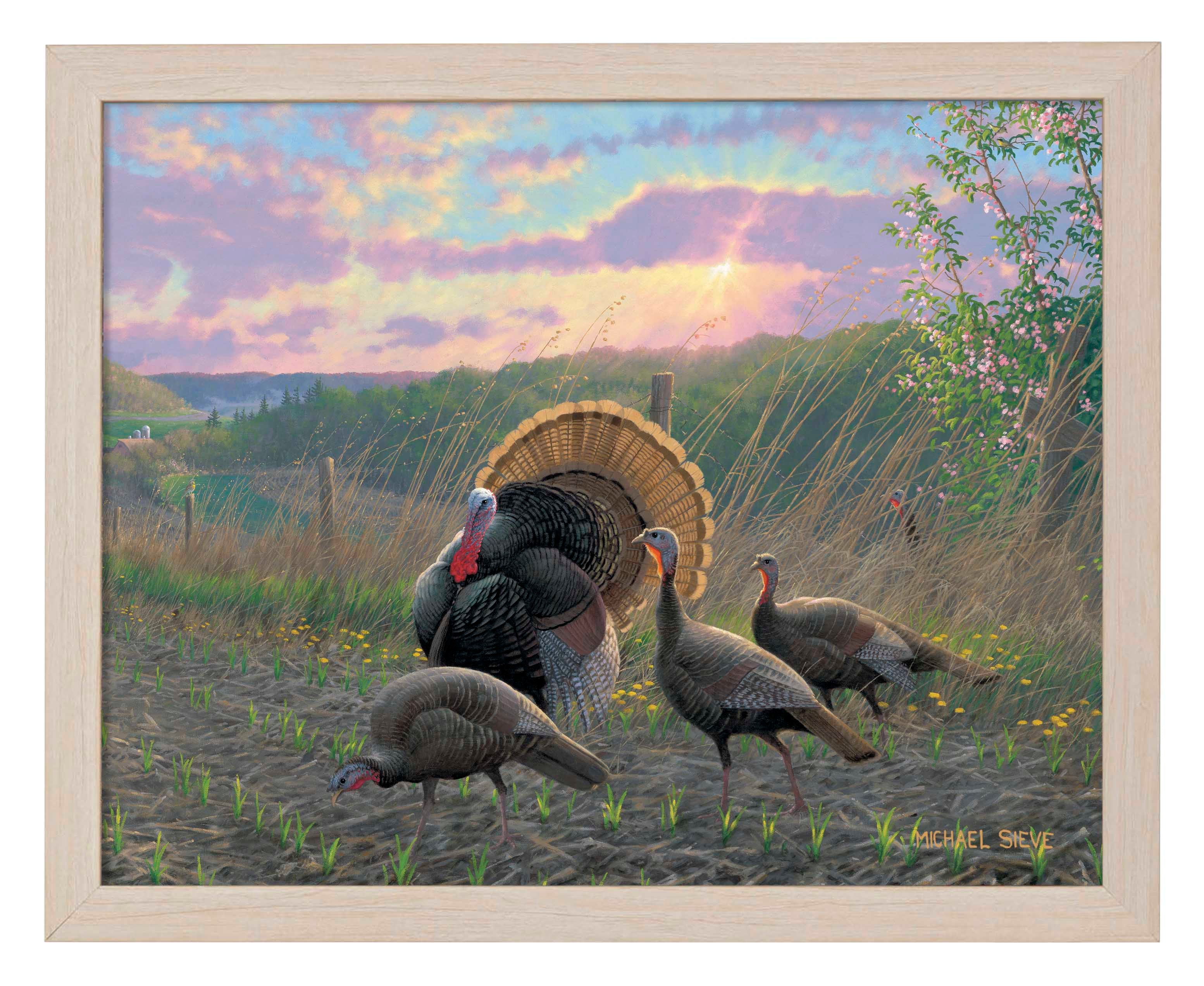Golden Fan Club Turkeys - Art Prints Art Prints from Wild Wings