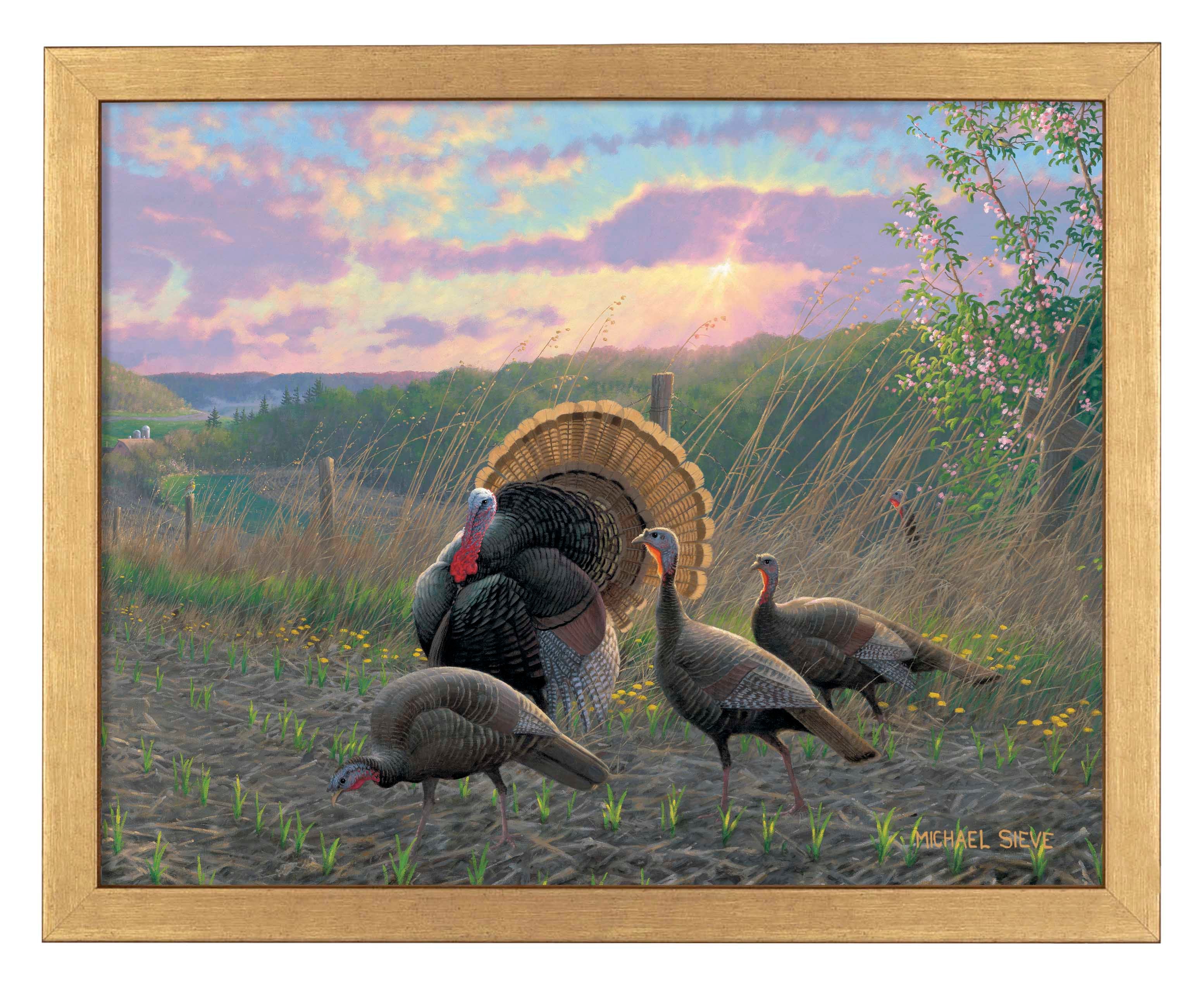 Golden Fan Club Turkeys - Art Prints Art Prints from Wild Wings