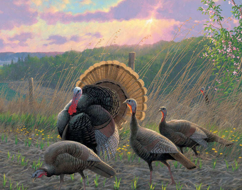 Celebrate Turkey Season