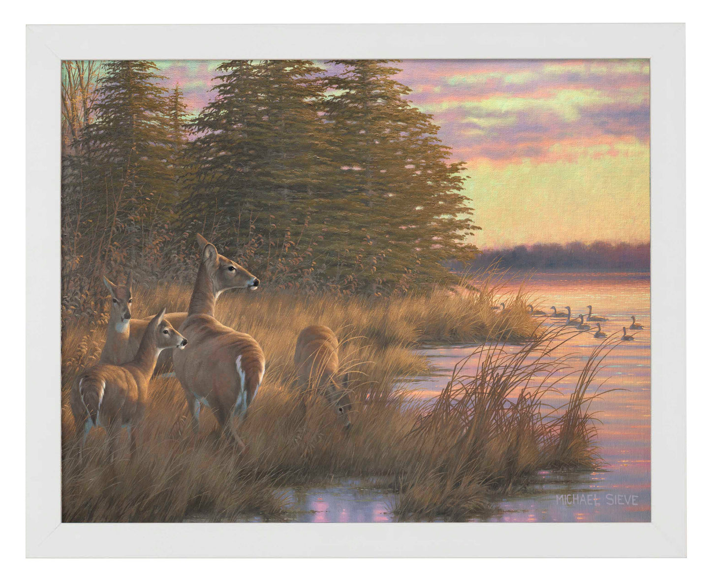 Missouri Does and Fawns - Art Prints