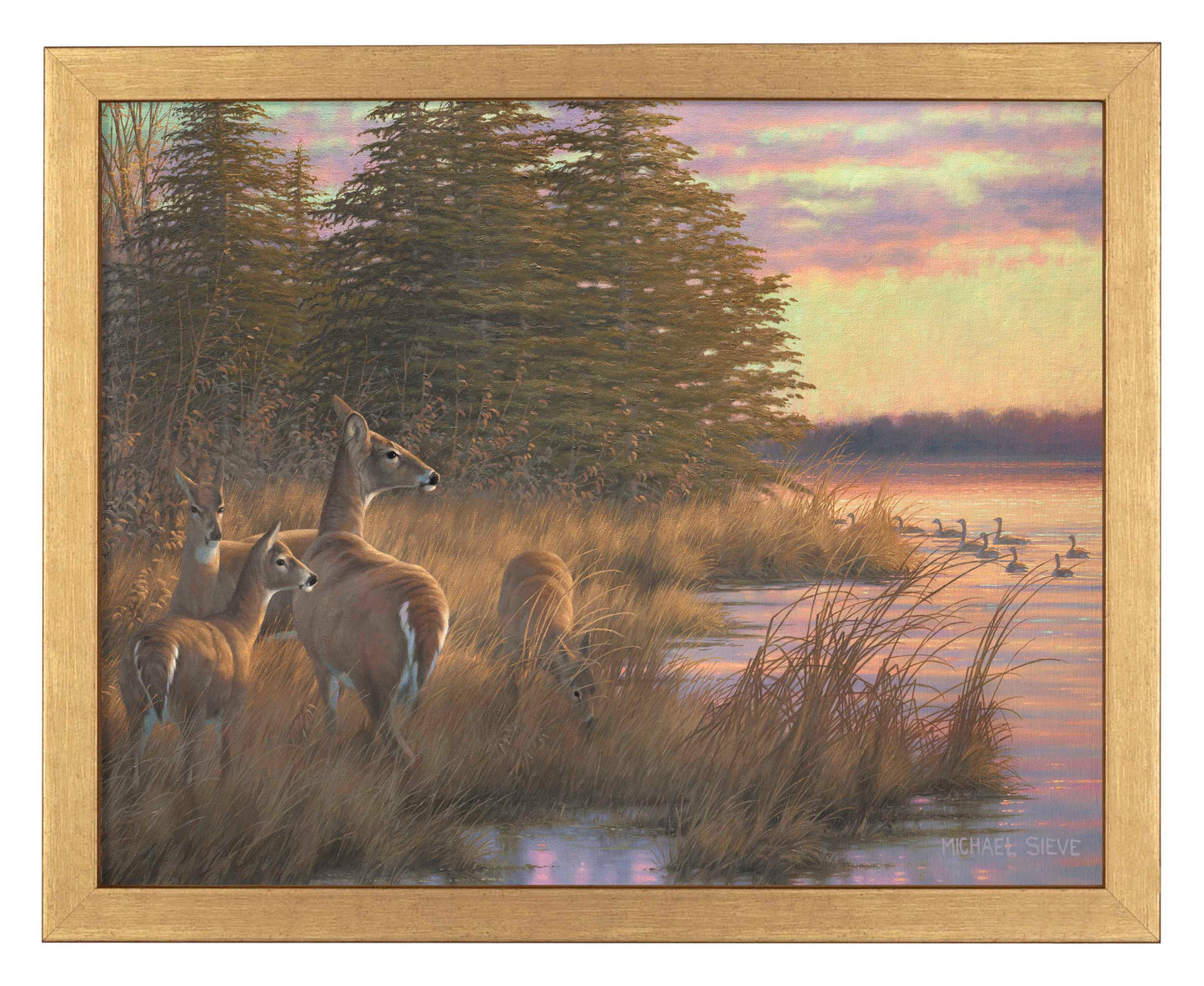 Missouri Does and Fawns - Art Prints