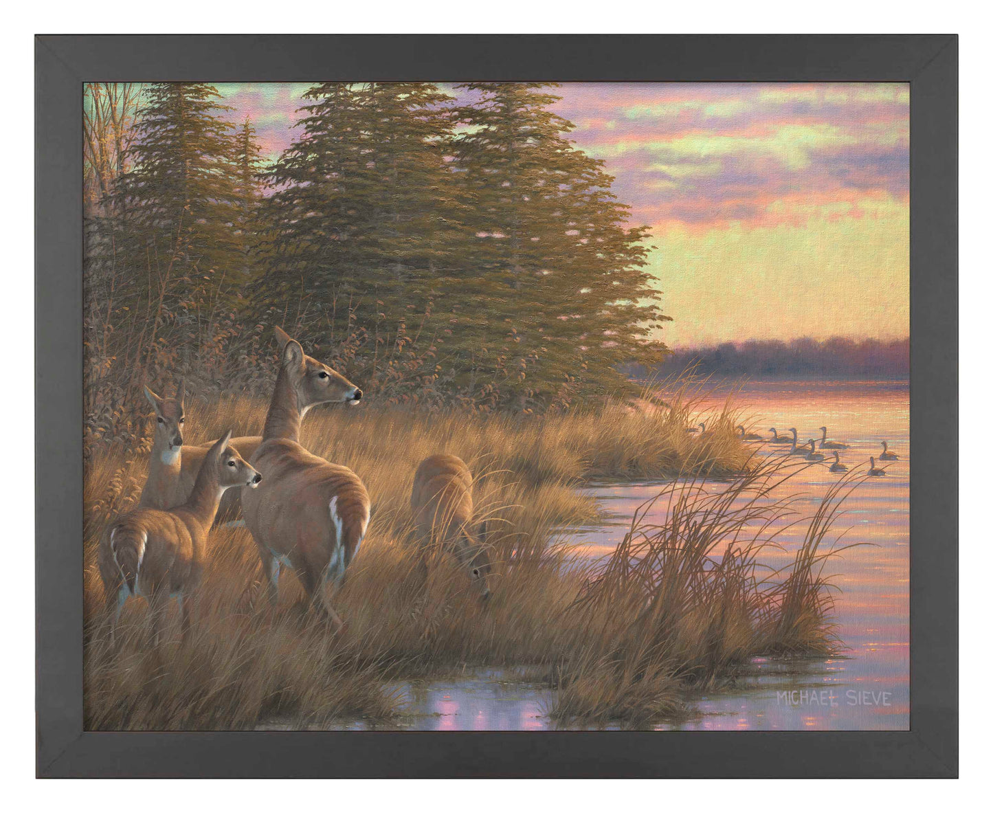 Missouri Does and Fawns - Art Prints