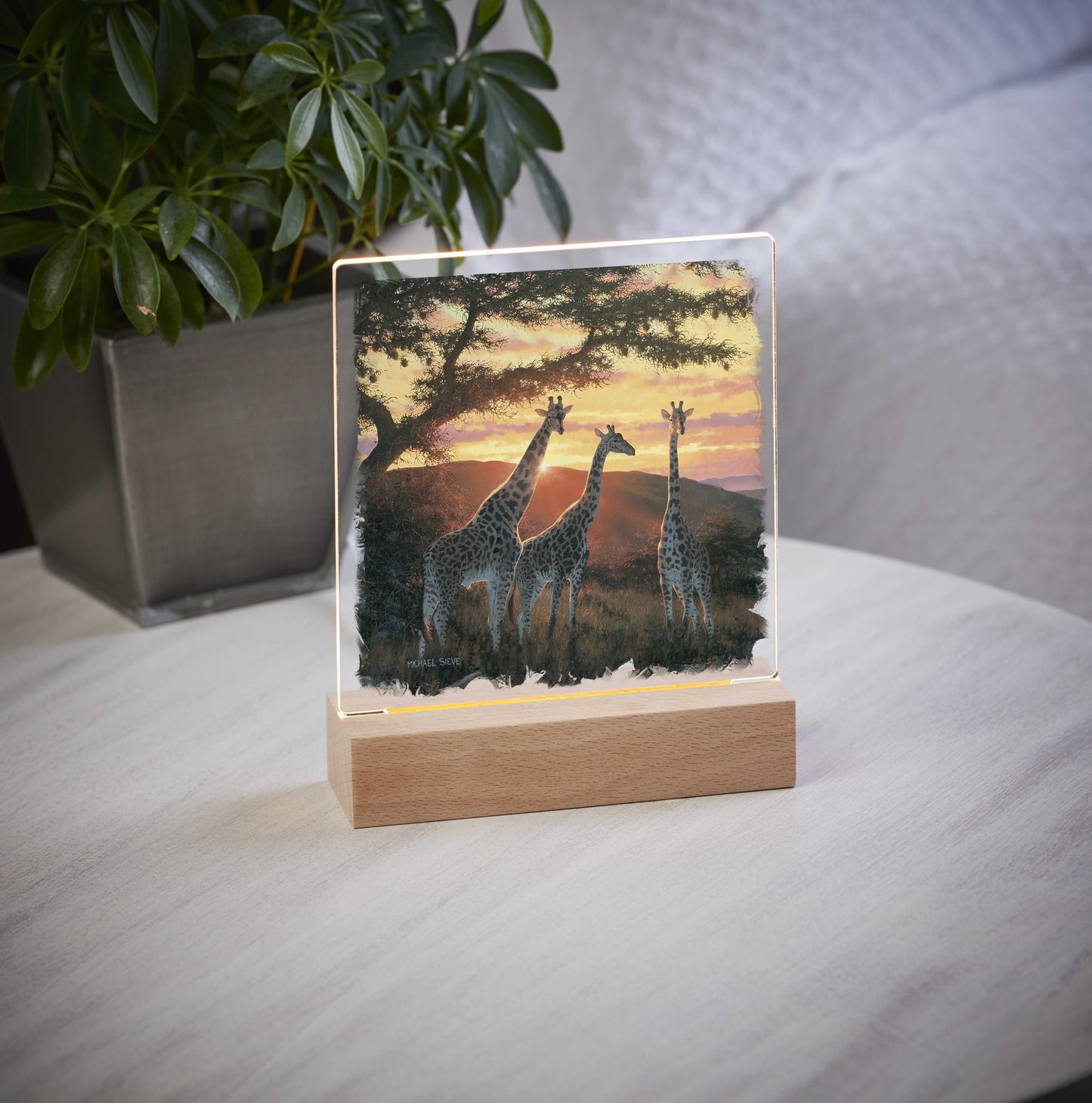 Sand River Sunrise - Giraffes - Acrylic Night Light