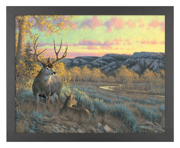 Stand With Me - Mule Deer - Art Prints