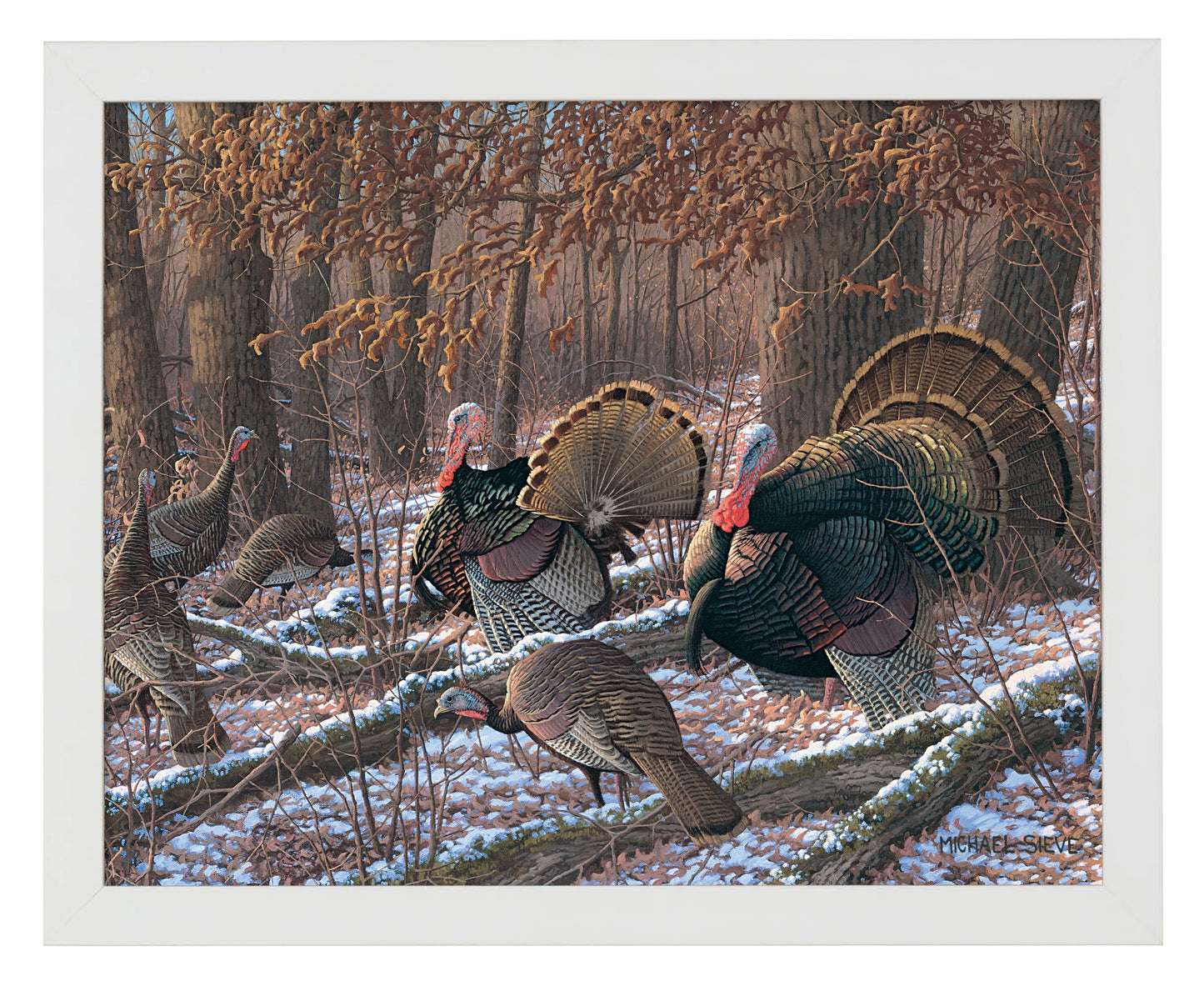 Thinkin Spring - Turkeys - Art Prints
