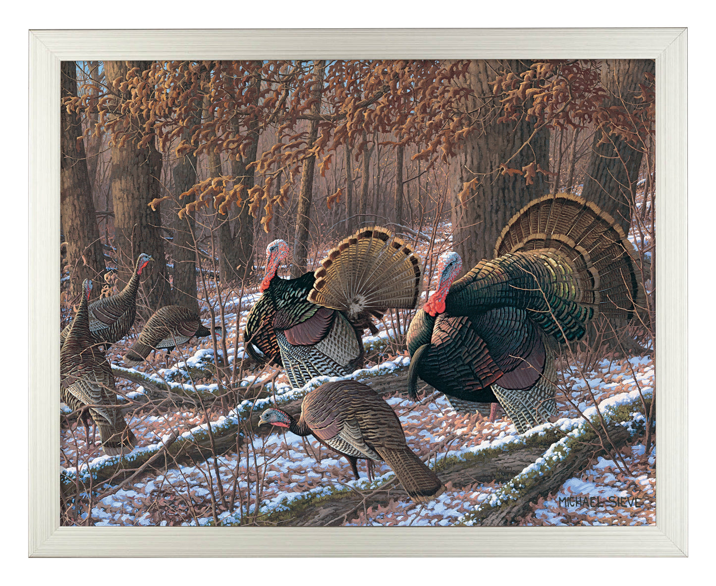 Thinkin Spring - Turkeys - Art Prints