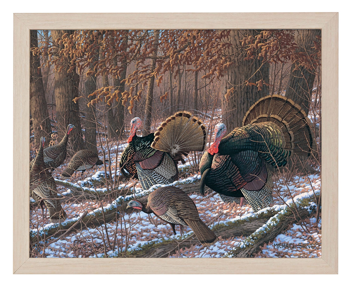 Thinkin Spring - Turkeys - Art Prints