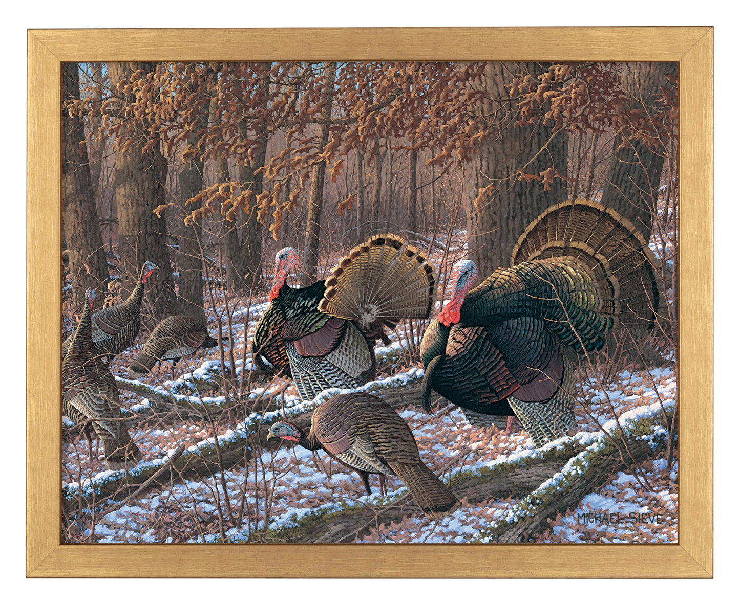 Thinkin Spring - Turkeys - Art Prints