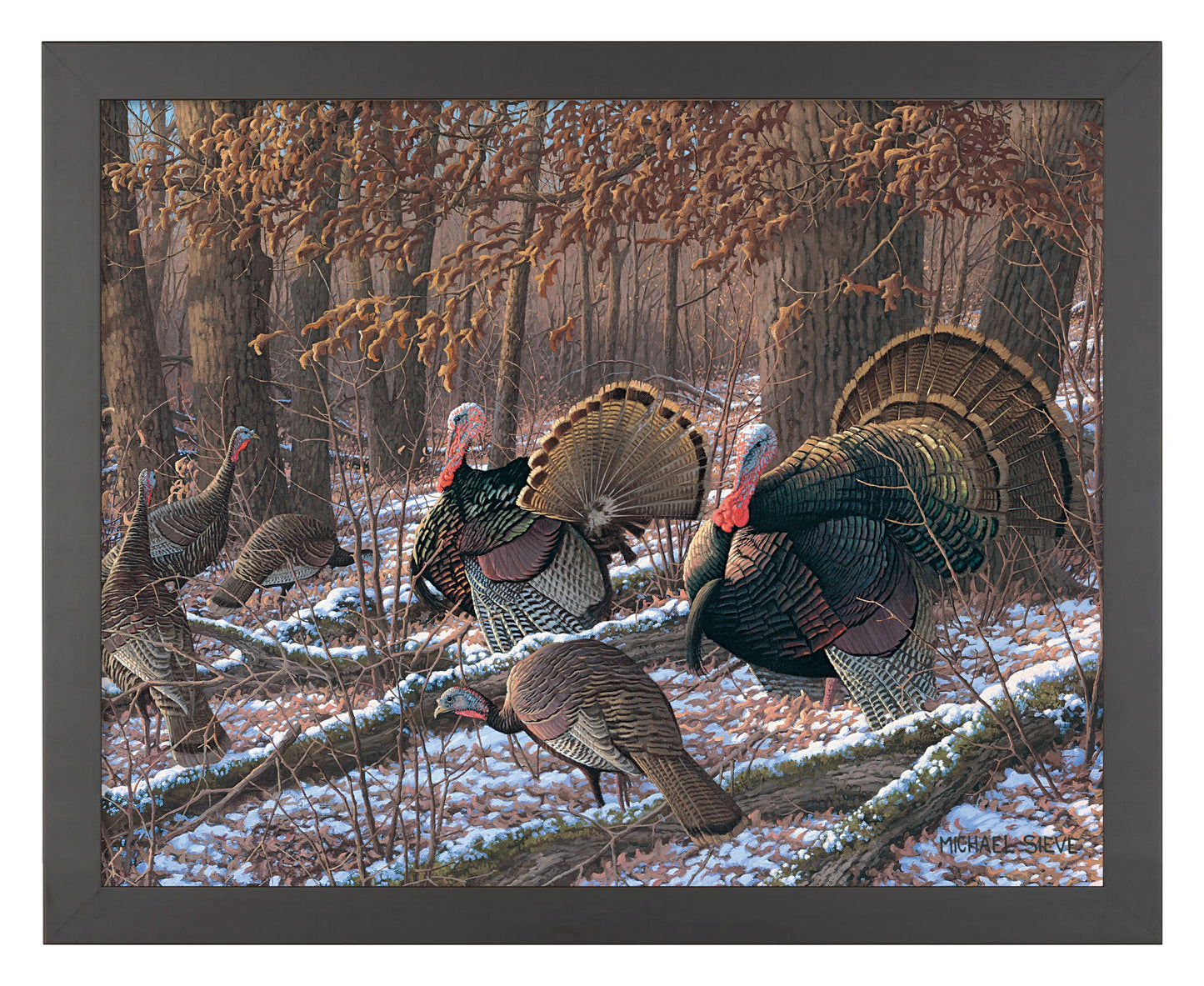 Thinkin Spring - Turkeys - Art Prints