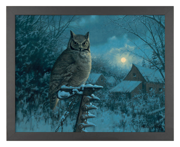 Tiger of the Night - Art Prints