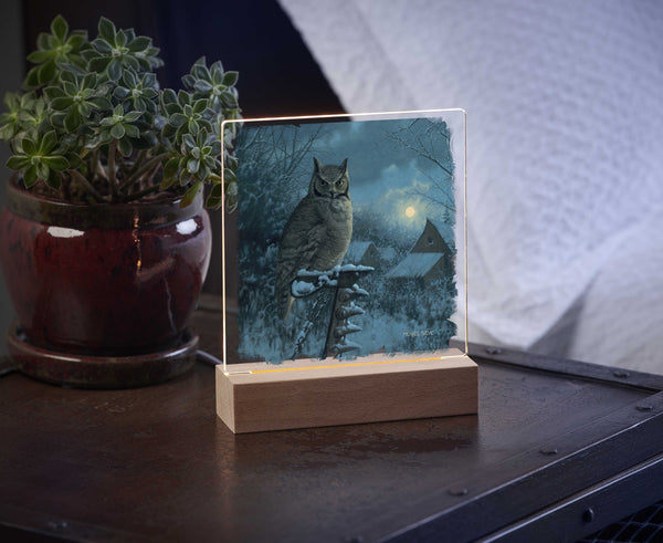 Tiger of the Night - Acrylic Night Light