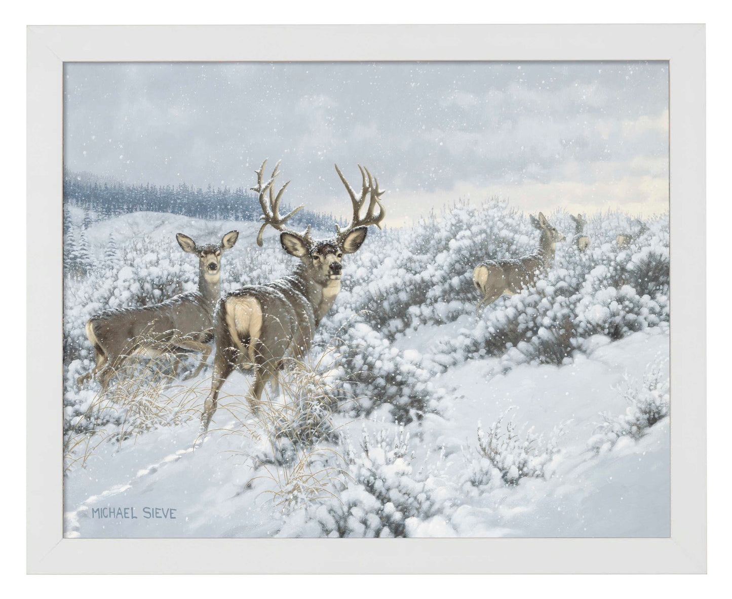 Winter Range Mule Deer - Art Prints