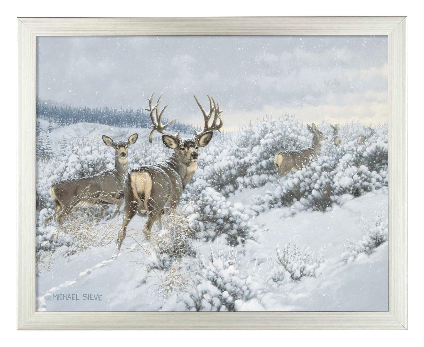 Winter Range Mule Deer - Art Prints