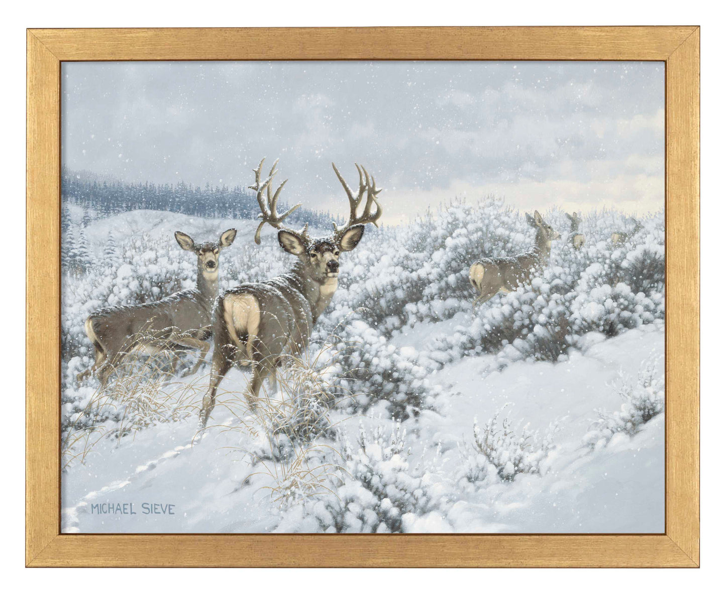 Winter Range Mule Deer - Art Prints