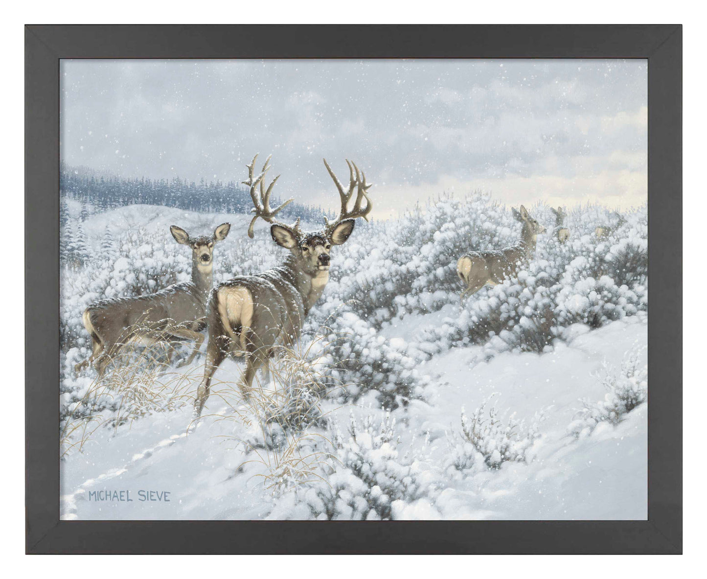 Winter Range Mule Deer - Art Prints
