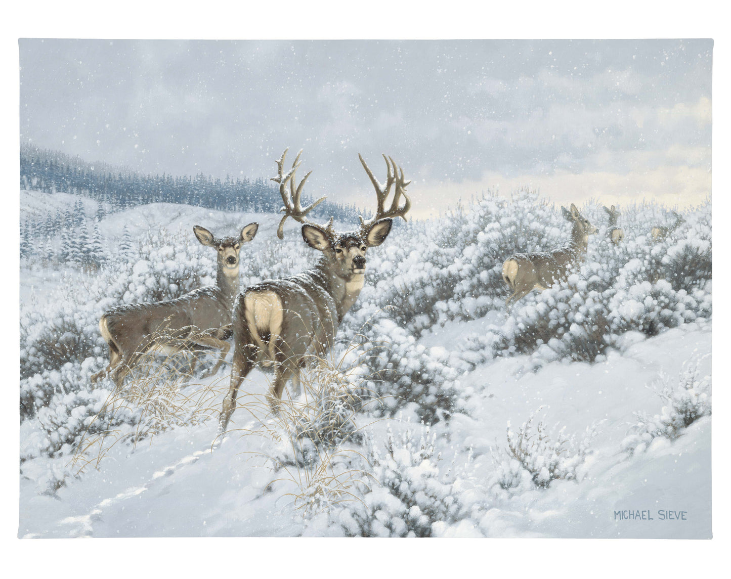 Winter Range Mule Deer - 18" x 13" Gallery Wrapped Canvas