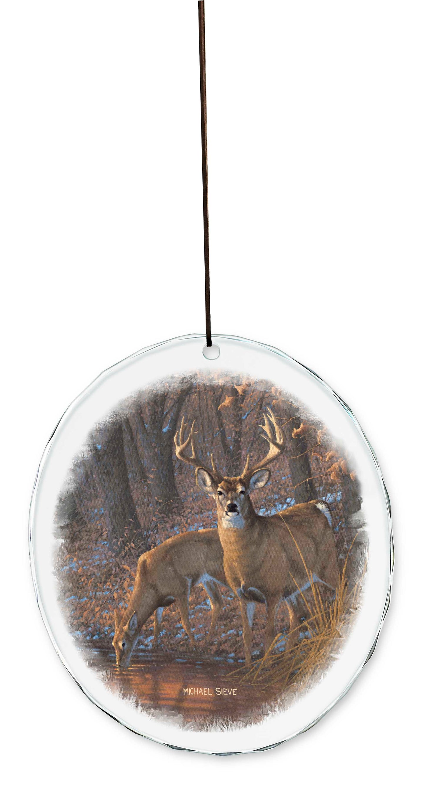 Woodland Water Hole White Tail Deer - Suncatcher
