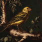 Radiant Melody - Yellow Warbler in Verdant Haven - Limited Edition Canvas