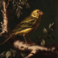 Radiant Melody - Yellow Warbler in Verdant Haven - Limited Edition Canvas