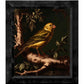 172898 CNF Radiant Melody - Yellow Warbler in Verdant Haven 20X24 SN ED_SIZE 95 Canvas  FRMD EBONY WALNUT.jpg