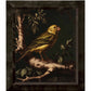 Radiant Melody - Yellow Warbler in Verdant Haven - Limited Edition Canvas