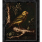 Radiant Melody - Yellow Warbler in Verdant Haven - Limited Edition Canvas