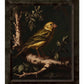 Radiant Melody - Yellow Warbler in Verdant Haven - Limited Edition Canvas