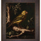 Radiant Melody - Yellow Warbler in Verdant Haven - Limited Edition Canvas