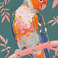 173013_CNU Prismatic Perch - Sun Conure in Dreamy Grove 9X12 SN ED_SIZE 95.jpg