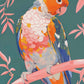Prismatic Perch - Sun Conure in Dreamy Grove - Limited Edition Canvas