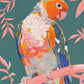 Prismatic Perch - Sun Conure in Dreamy Grove - Limited Edition Canvas