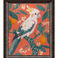 Lemon Grove Serenade - Cockatoo Amidst Citrus Blooms - Limited Edition Canvas